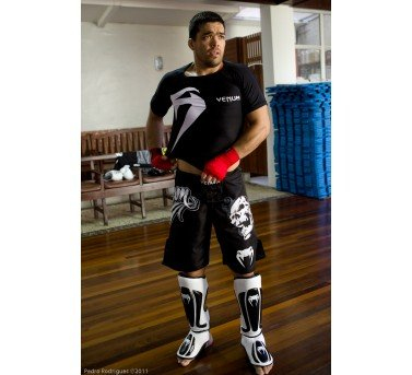 Venum Predator Standup Shinguards - Black/Ice cost
